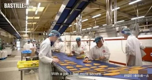 跨海寻梦 一部记录港人移居英国历程的纪录片与教育咨询服务的启示